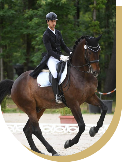 BCN_dressage_02