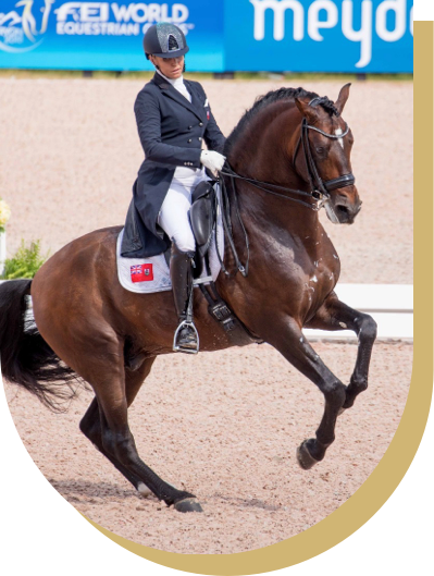 BCN_dressage_07