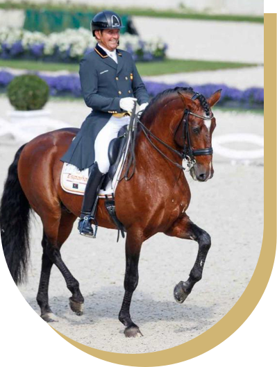 agusti-dressage