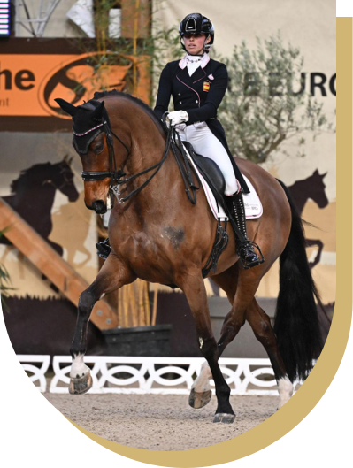 bcn-dressage-07